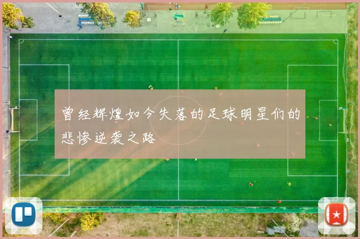 曾经辉煌如今失落的足球明星们的悲惨逆袭之路