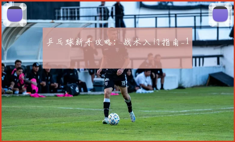 乒乓球新手攻略：战术入门指南_1