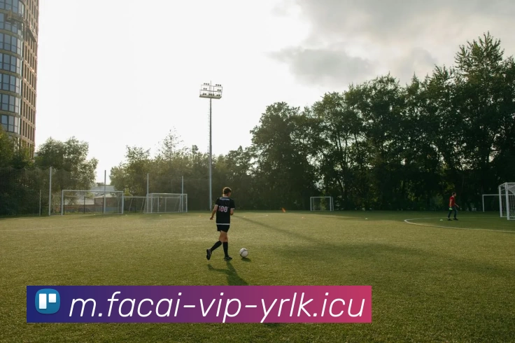 开云体育服务体系